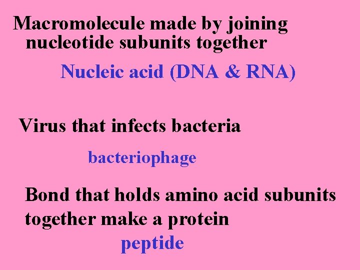 Macromolecule made by joining nucleotide subunits together Nucleic acid (DNA & RNA) Virus that