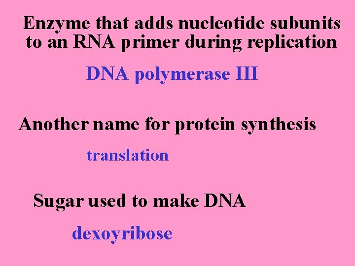 Enzyme that adds nucleotide subunits to an RNA primer during replication DNA polymerase III