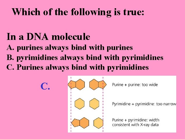 Which of the following is true: In a DNA molecule A. purines always bind