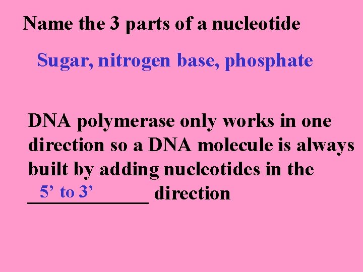 Name the 3 parts of a nucleotide Sugar, nitrogen base, phosphate DNA polymerase only