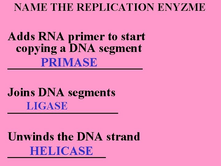 NAME THE REPLICATION ENYZME Adds RNA primer to start copying a DNA segment PRIMASE