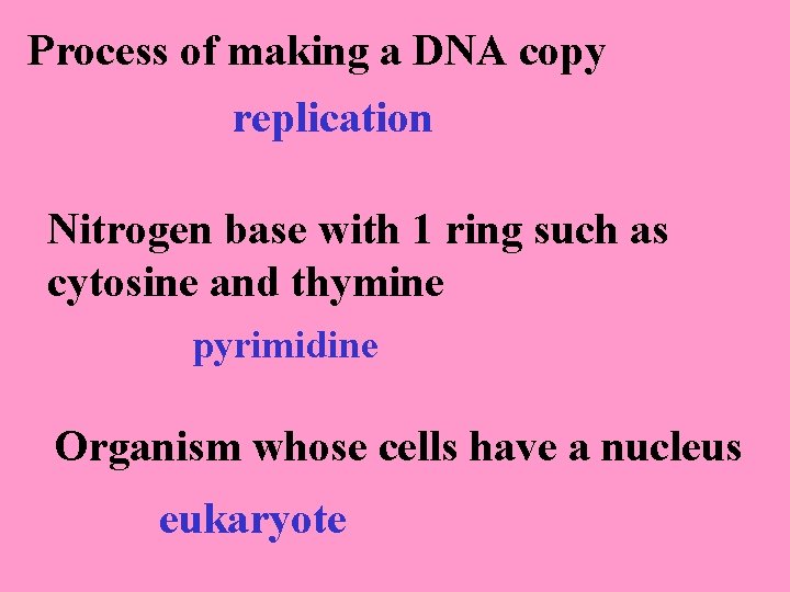 Process of making a DNA copy replication Nitrogen base with 1 ring such as