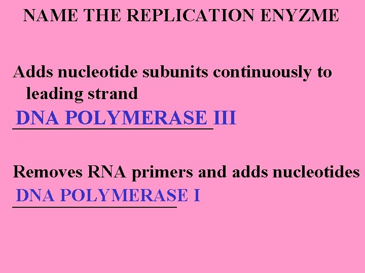 NAME THE REPLICATION ENYZME Adds nucleotide subunits continuously to leading strand DNA POLYMERASE III