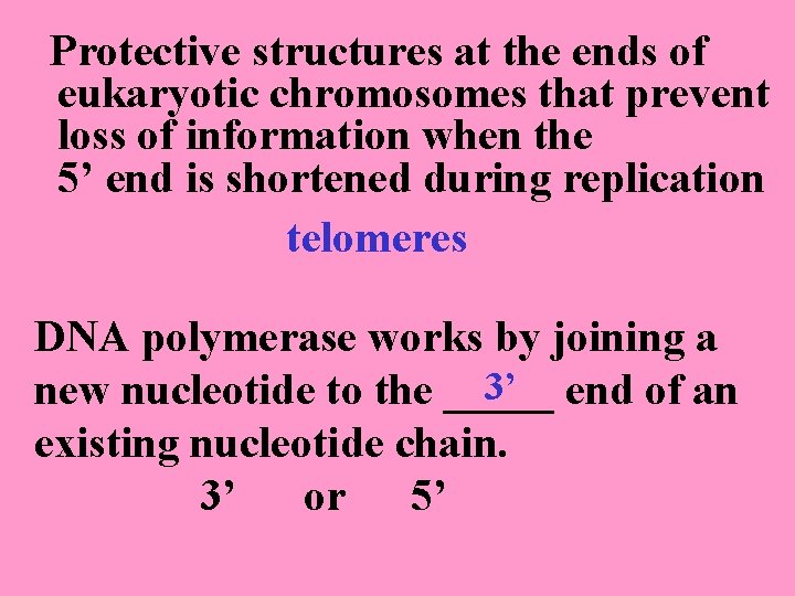 Protective structures at the ends of eukaryotic chromosomes that prevent loss of information when