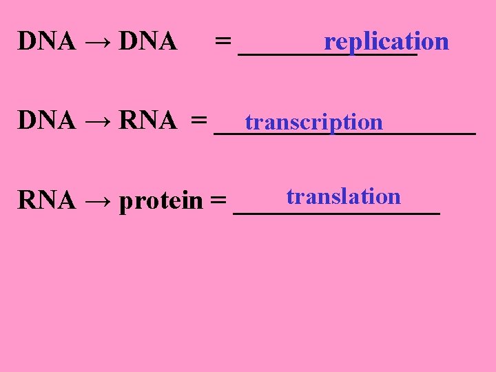 DNA → DNA replication = _______ DNA → RNA = __________ transcription translation RNA