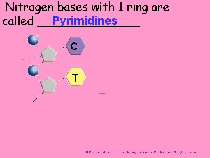 Nitrogen bases with 1 ring are Pyrimidines called _______ C T © Pearson Education