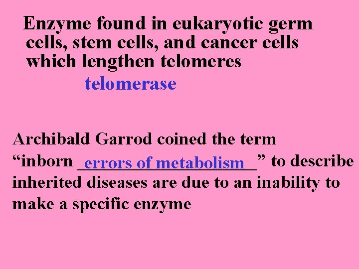 Enzyme found in eukaryotic germ cells, stem cells, and cancer cells which lengthen telomeres