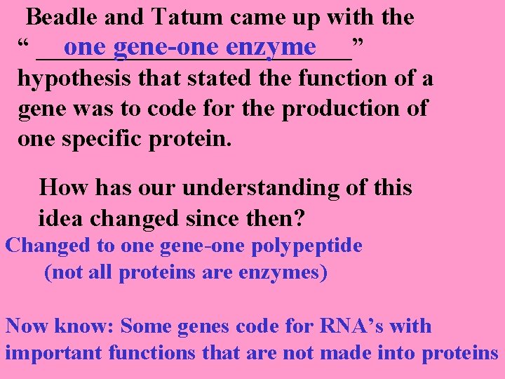 Beadle and Tatum came up with the one gene-one enzyme “ _____________” hypothesis that
