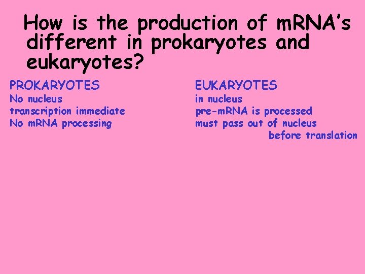 How is the production of m. RNA’s different in prokaryotes and eukaryotes? PROKARYOTES No
