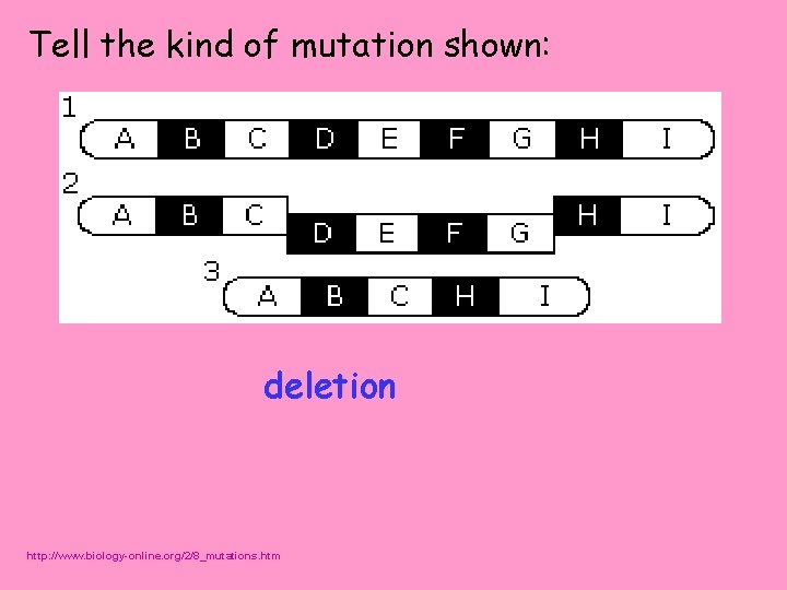 Tell the kind of mutation shown: deletion http: //www. biology-online. org/2/8_mutations. htm 