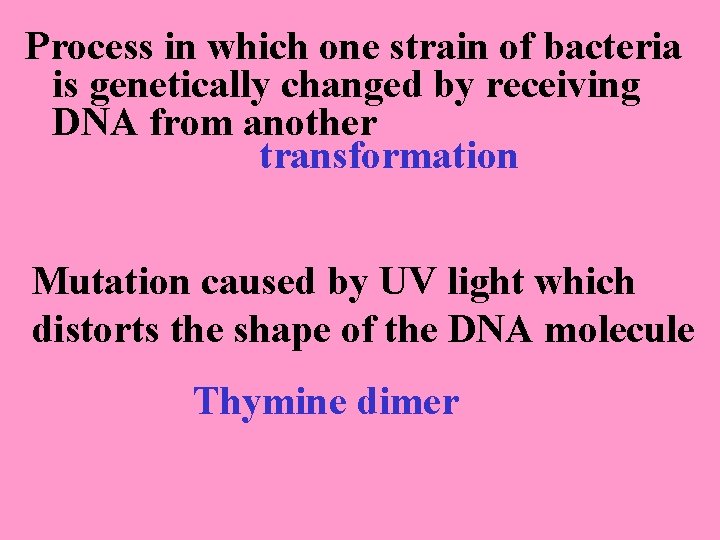 Process in which one strain of bacteria is genetically changed by receiving DNA from
