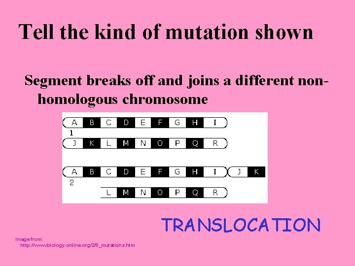 Tell the kind of mutation shown Segment breaks off and joins a different nonhomologous