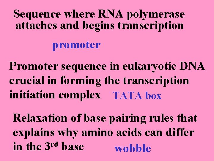 Sequence where RNA polymerase attaches and begins transcription promoter Promoter sequence in eukaryotic DNA
