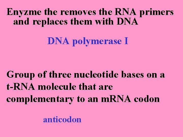 Enyzme the removes the RNA primers and replaces them with DNA polymerase I Group