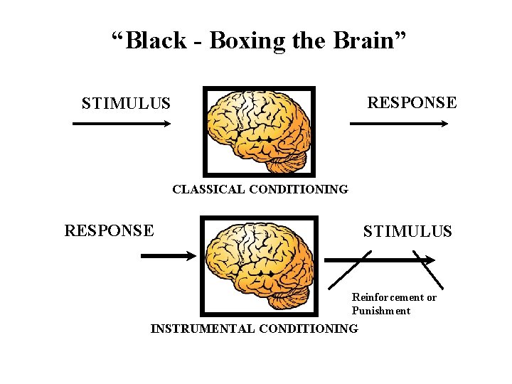 “Black - Boxing the Brain” RESPONSE STIMULUS CLASSICAL CONDITIONING RESPONSE STIMULUS Reinforcement or Punishment