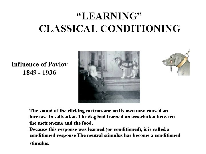 “LEARNING” CLASSICAL CONDITIONING Influence of Pavlov 1849 - 1936 The sound of the clicking