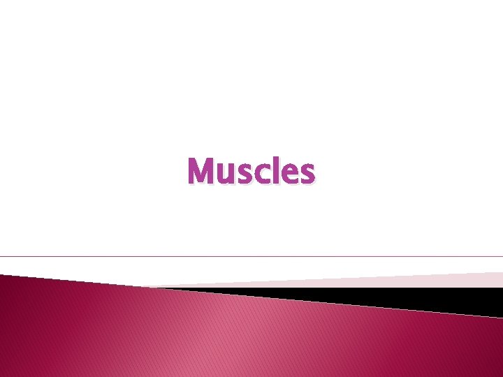 Muscles 