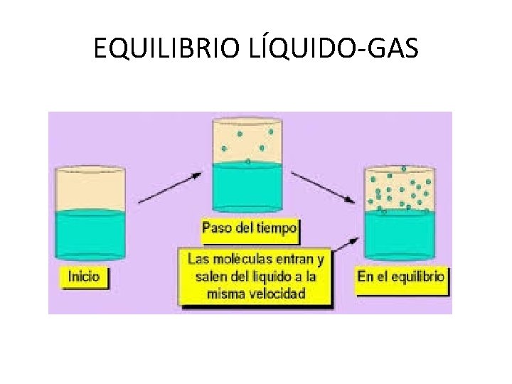 EQUILIBRIO LÍQUIDO-GAS 