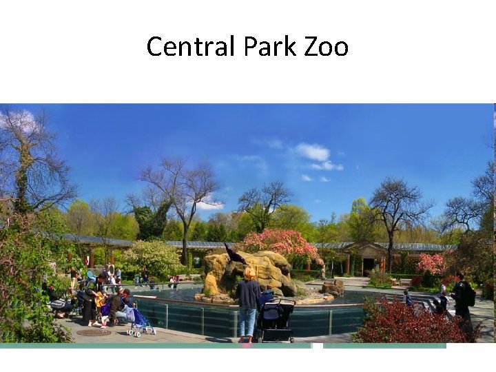 Central Park Zoo 