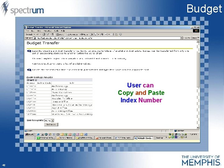 Budget User can Copy and Paste Index Number 46 