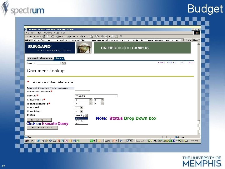 Budget Note: Status Drop Down box Click on Execute Query 77 