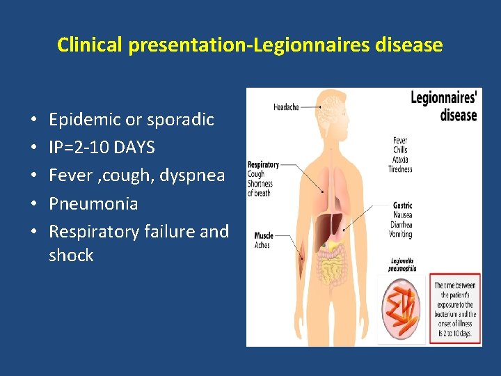 Clinical presentation-Legionnaires disease • • • Epidemic or sporadic IP=2 -10 DAYS Fever ,