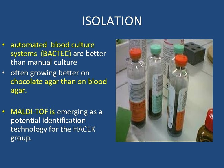 ISOLATION • automated blood culture systems (BACTEC) are better than manual culture • often