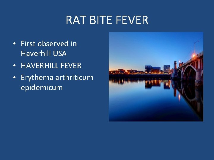 RAT BITE FEVER • First observed in Haverhill USA • HAVERHILL FEVER • Erythema