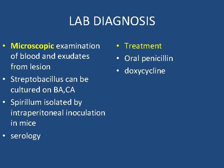 LAB DIAGNOSIS • Microscopic examination of blood and exudates from lesion • Streptobacillus can