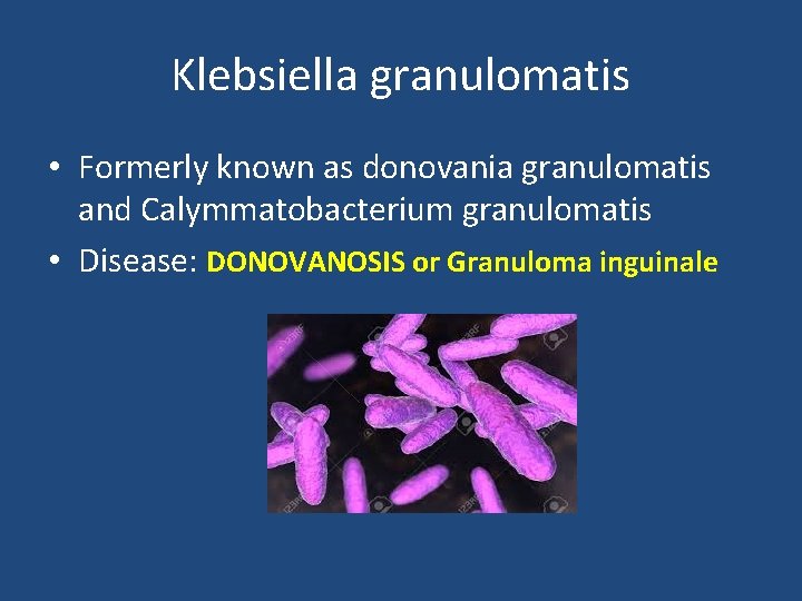 Klebsiella granulomatis • Formerly known as donovania granulomatis and Calymmatobacterium granulomatis • Disease: DONOVANOSIS