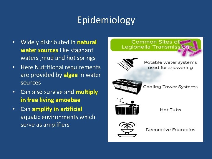 Epidemiology • Widely distributed in natural water sources like stagnant waters , mud and