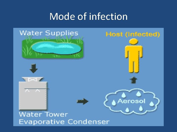 Mode of infection 