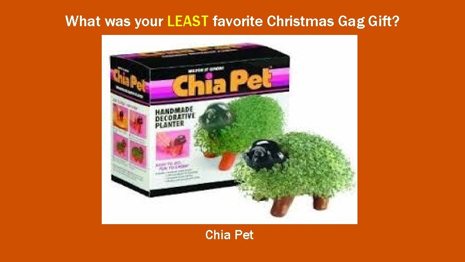 What was your LEAST favorite Christmas Gag Gift? Chia Pet 