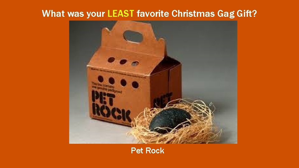 What was your LEAST favorite Christmas Gag Gift? Pet Rock 