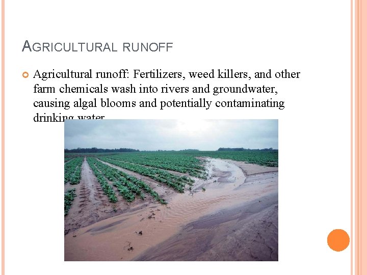 AGRICULTURAL RUNOFF Agricultural runoff: Fertilizers, weed killers, and other farm chemicals wash into rivers