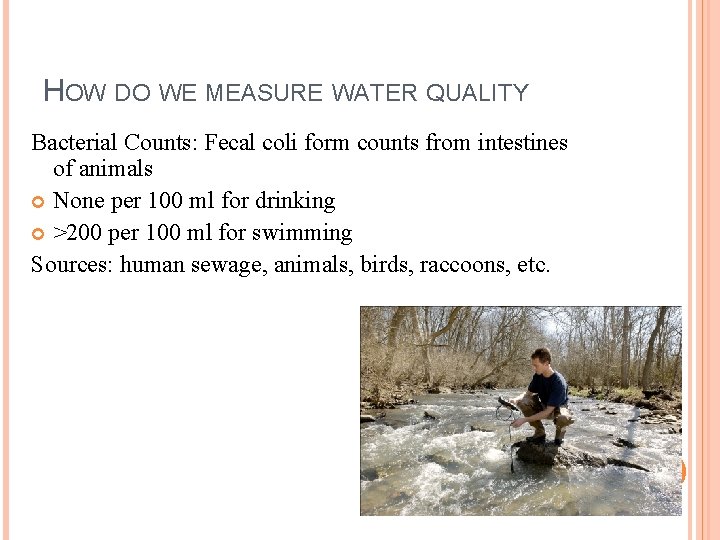 HOW DO WE MEASURE WATER QUALITY Bacterial Counts: Fecal coli form counts from intestines