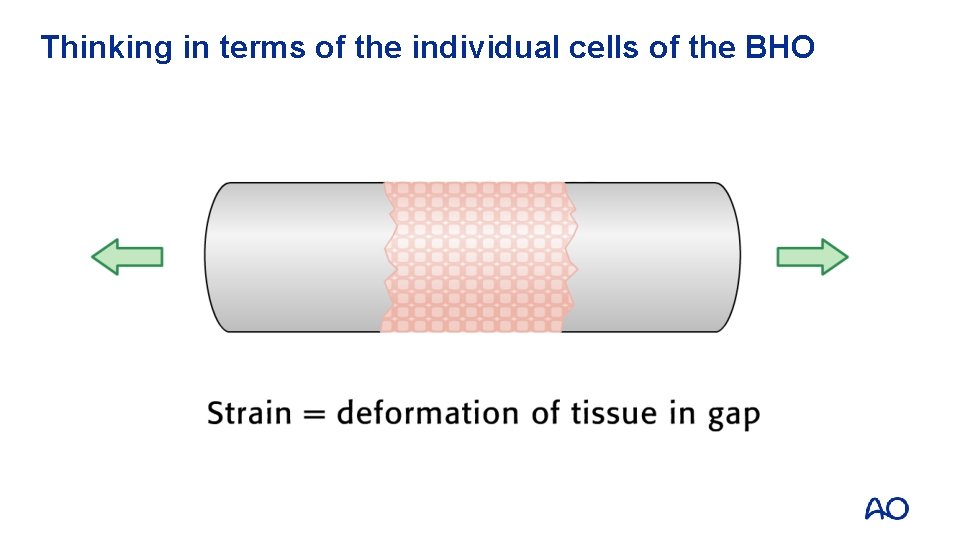 Thinking in terms of the individual cells of the BHO 