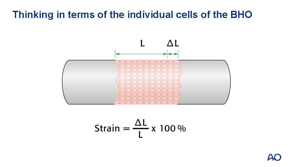 Thinking in terms of the individual cells of the BHO 