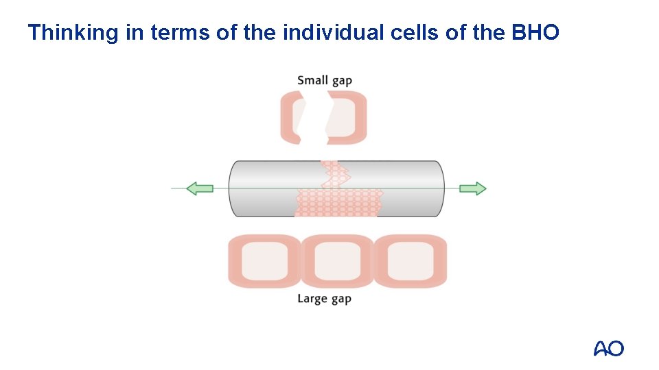 Thinking in terms of the individual cells of the BHO 