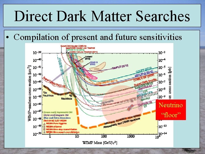 Direct Dark Matter Searches • Compilation of present and future sensitivities Neutrino “floor” 