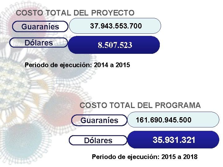 COSTO TOTAL DEL PROYECTO Guaraníes 37. 943. 553. 700 Dólares 8. 507. 523 Periodo