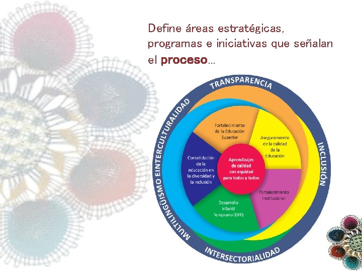 Define áreas estratégicas, programas e iniciativas que señalan el proceso. . . 