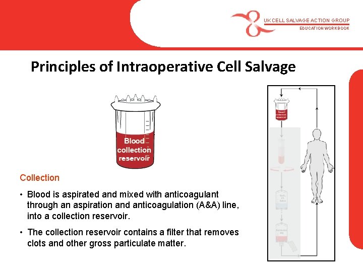 UK CELL SALVAGE ACTION GROUP EDUCATION WORKBOOK Principles of Intraoperative Cell Salvage Collection •