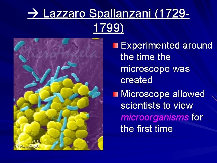  Lazzaro Spallanzani (17291799) Experimented around the time the microscope was created Microscope allowed
