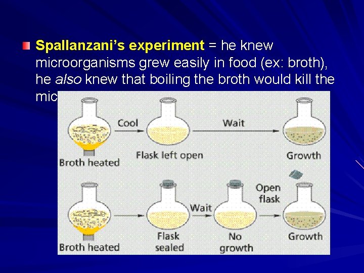 Spallanzani’s experiment = he knew microorganisms grew easily in food (ex: broth), he also