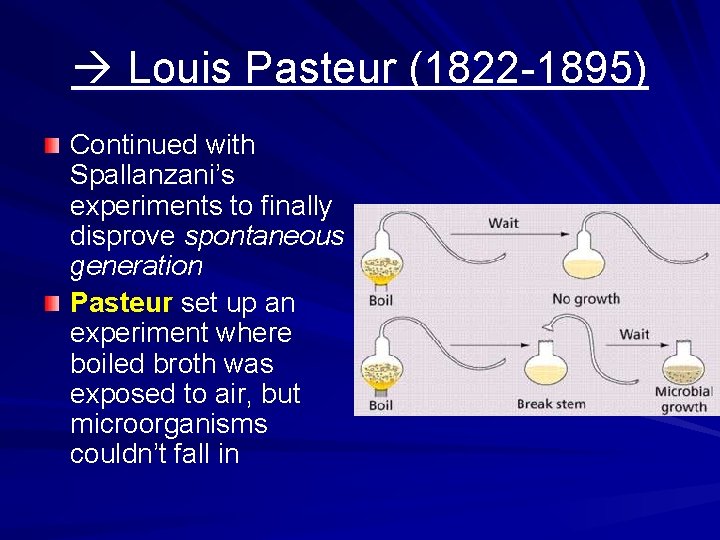  Louis Pasteur (1822 -1895) Continued with Spallanzani’s experiments to finally disprove spontaneous generation