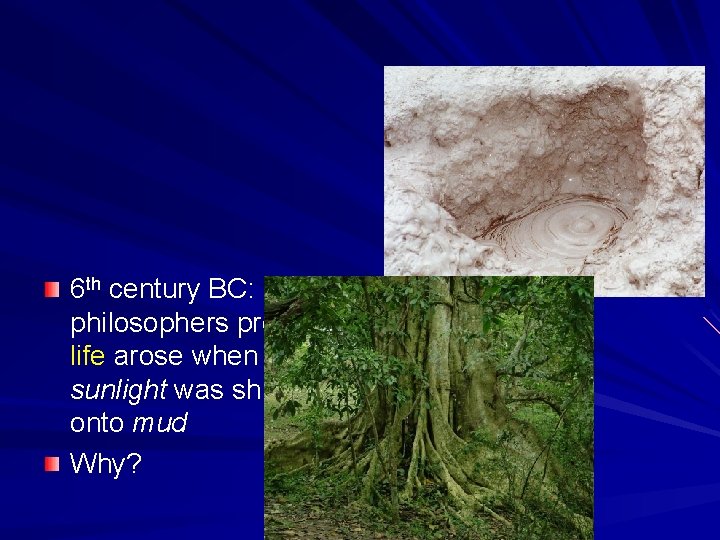 6 th century BC: Greek philosophers propose life arose when sunlight was shined onto