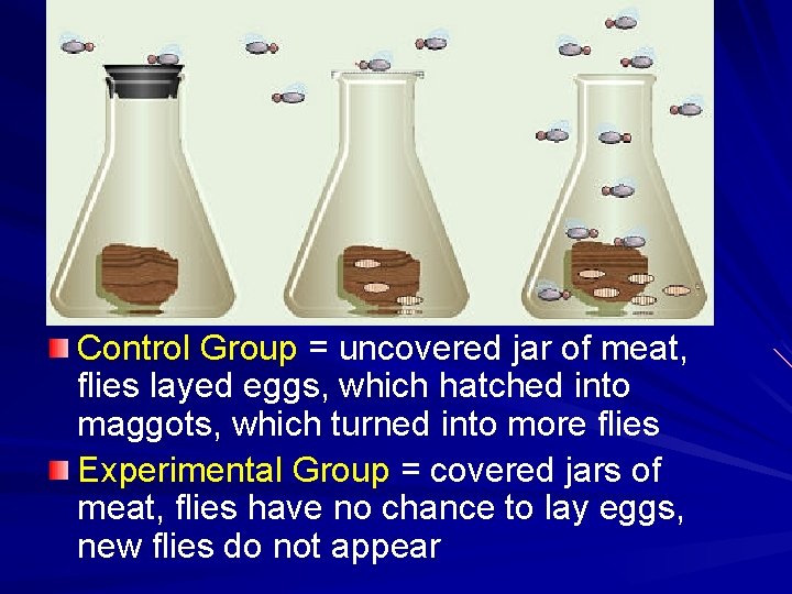 Control Group = uncovered jar of meat, flies layed eggs, which hatched into maggots,