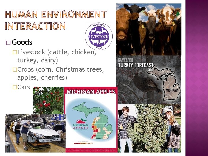 � Goods �Livestock (cattle, chicken, turkey, dairy) �Crops (corn, Christmas trees, apples, cherries) �Cars