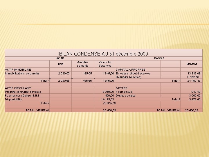 BILAN CONDENSE AU 31 décembre 2009 ACTIF Brut ACTIF IMMOBILISE Immobilisations corporelles Total 1